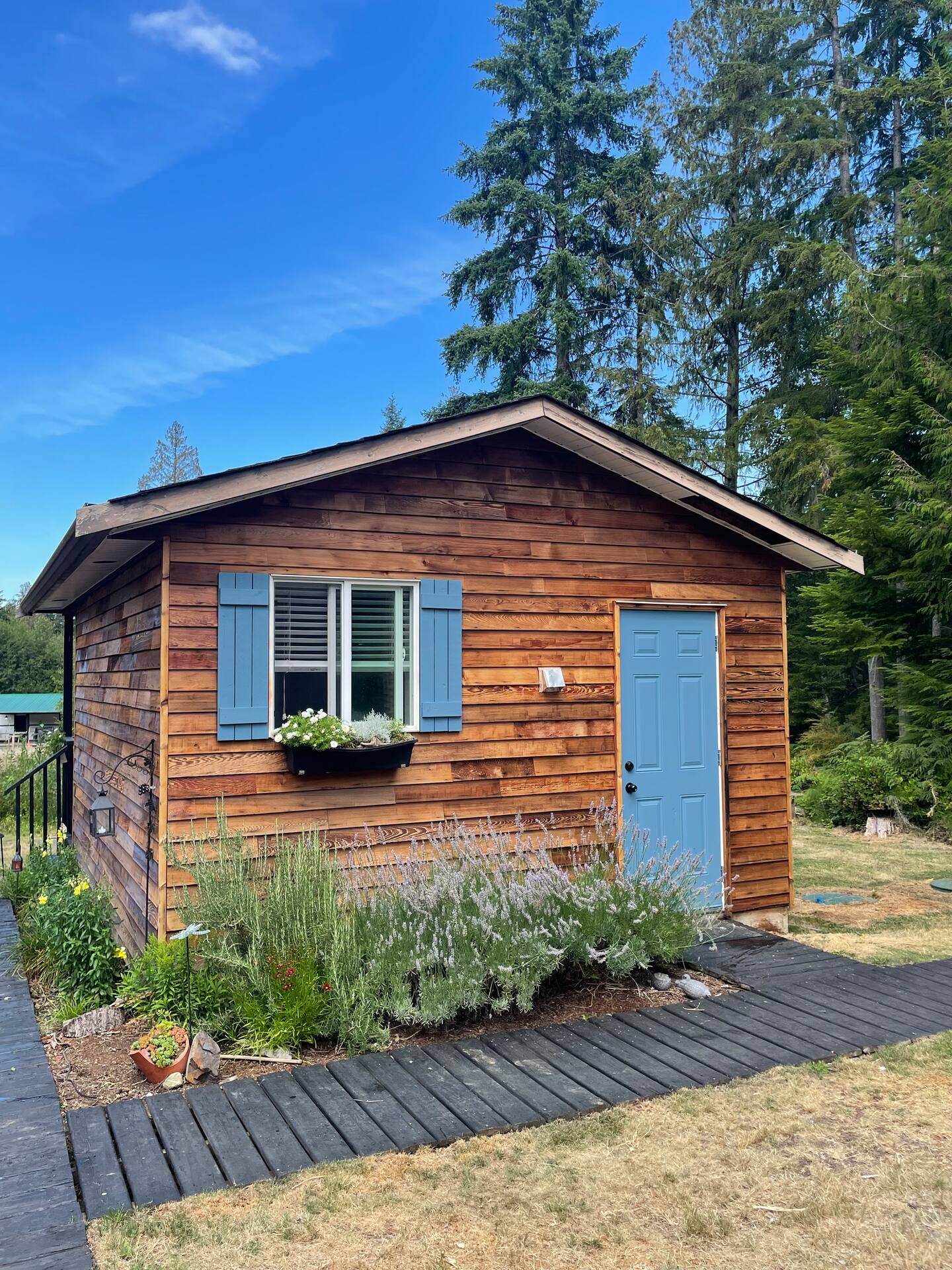 Mira Cottage interior and amenities